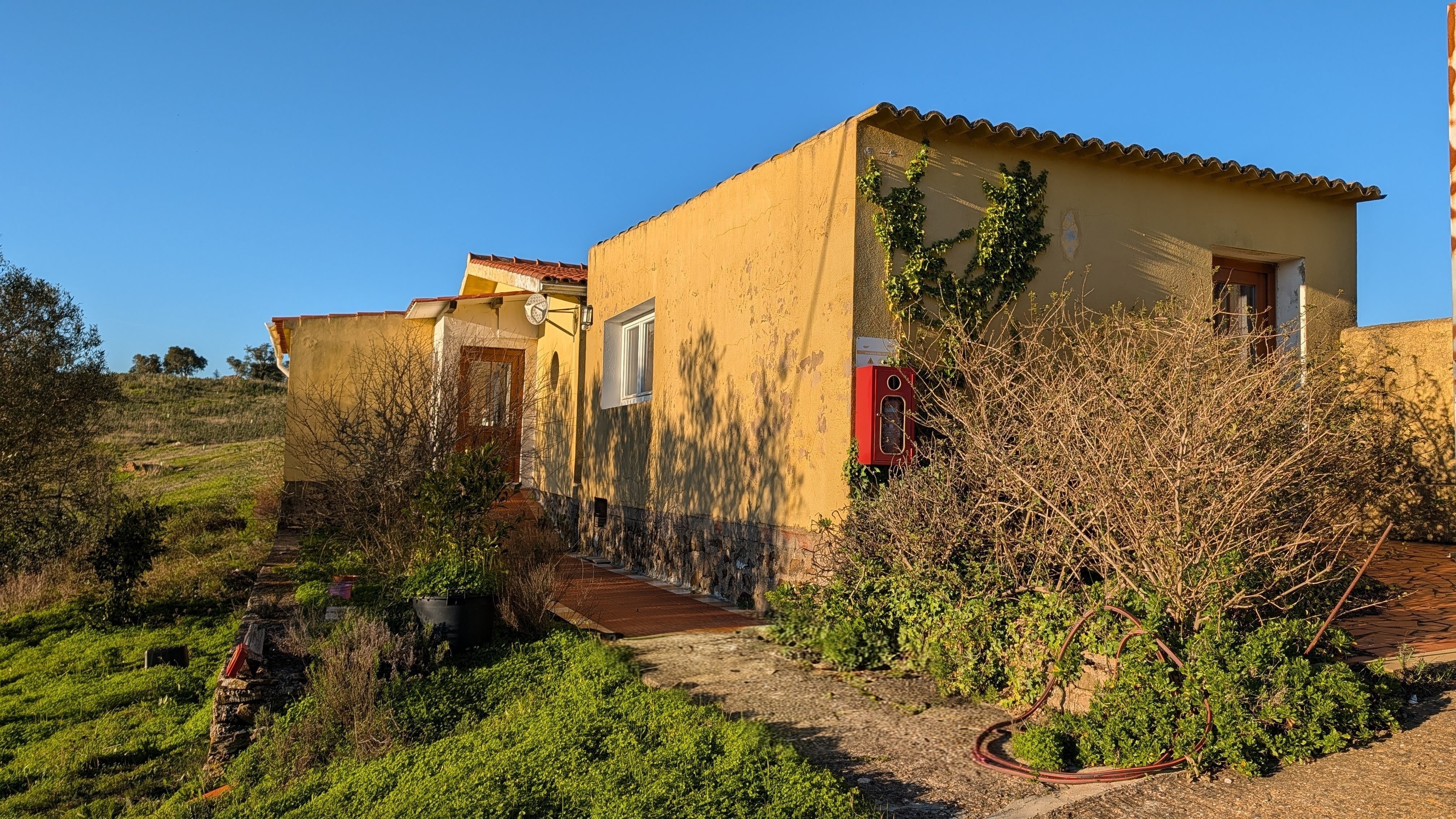 Small house and office