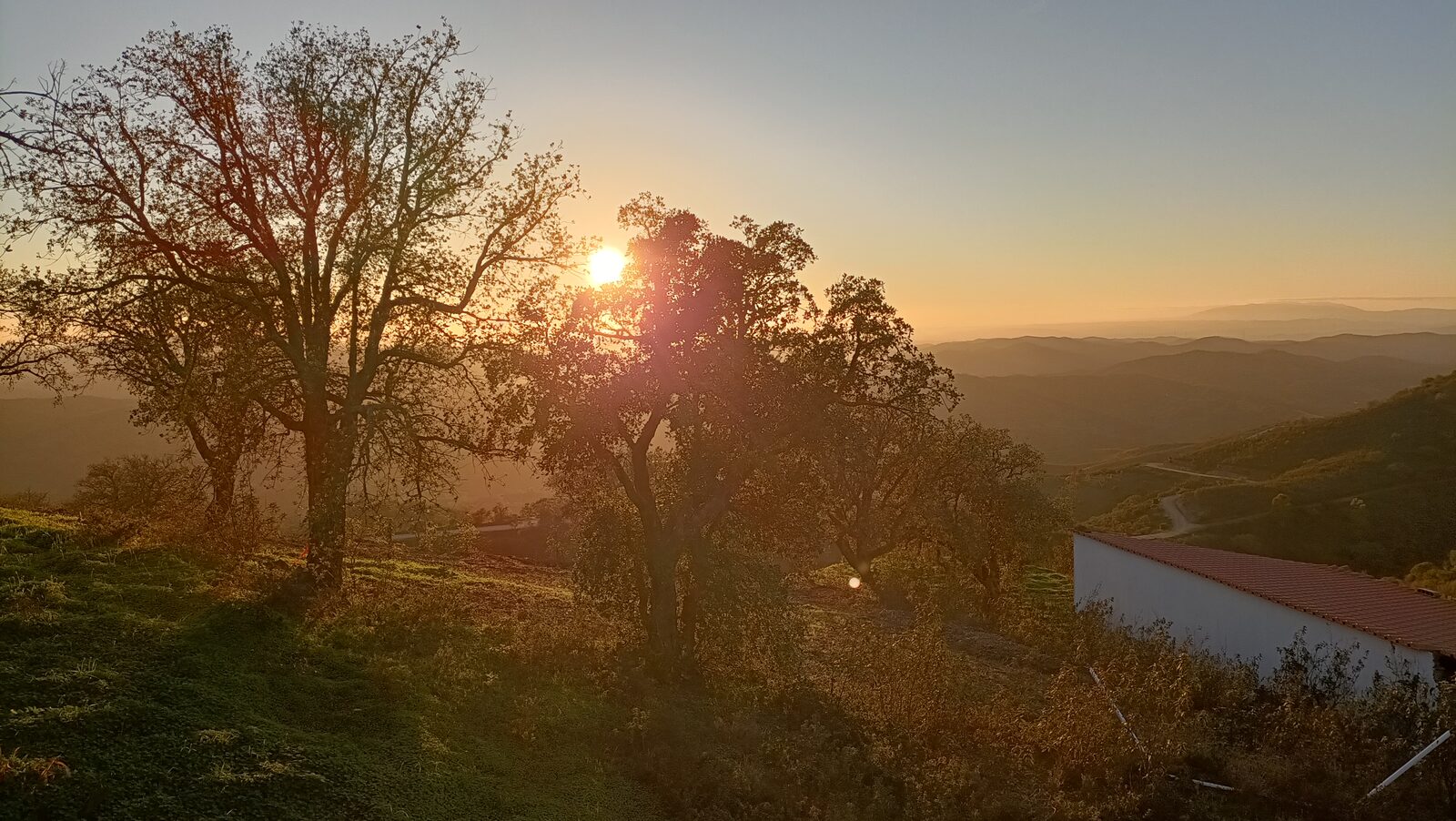 Golden sunset over the Algarve countryside