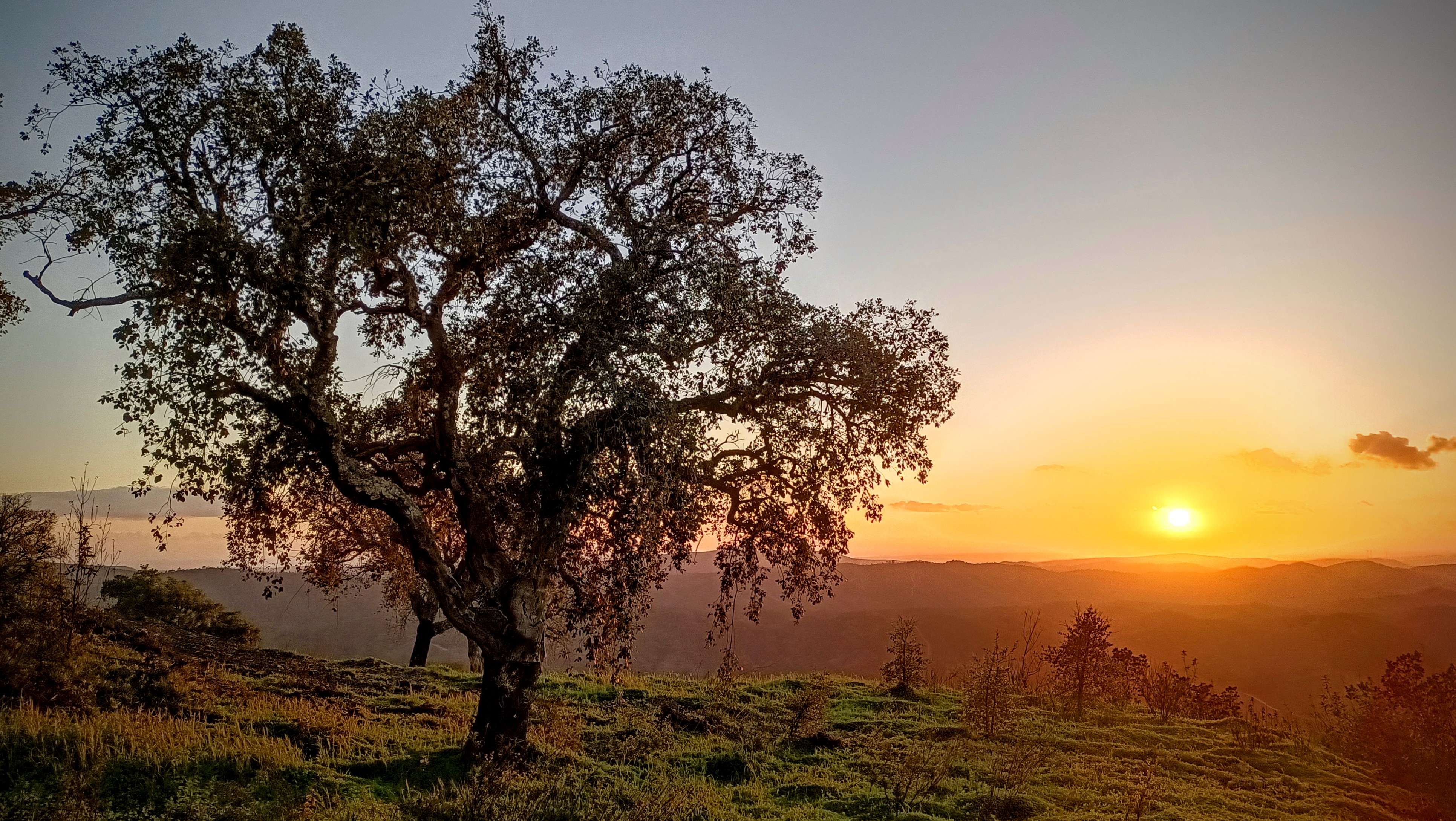 Sunset over the Algarve hills
