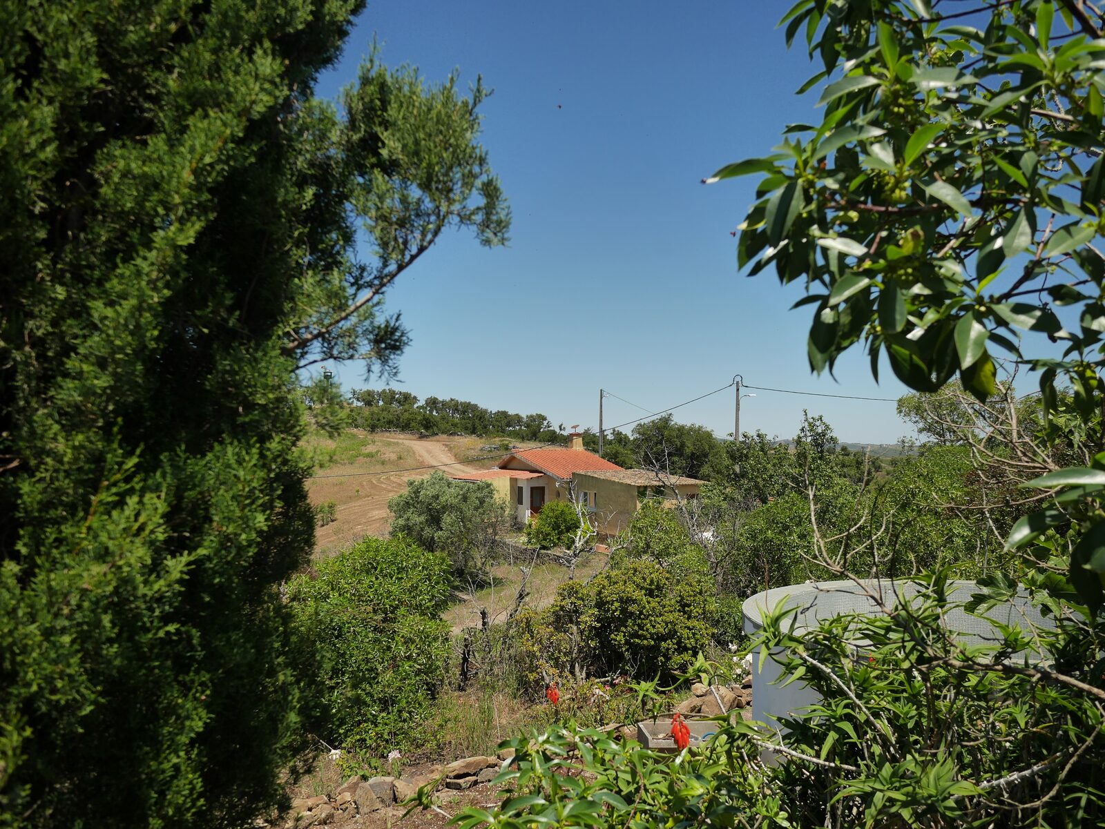 View from the small house